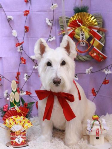 20230115ムーミンくん